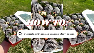 How to make the PERFECT Chocolate Covered Strawberries [upl. by Ammon]