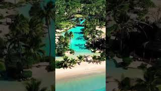 Laucala island reality shorts island beautiful lovely love lonely dream paradise edit [upl. by Stearn791]