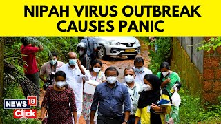 Nipah Virus Kerala News  Deadly Nipah Virus Outbreak In Kerala  Kerala Nipah Virus  News18  N18V [upl. by Noble184]