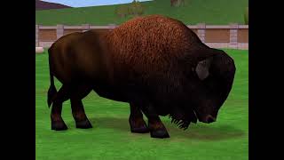 Zoo Tycoon 2 American Bison sounds [upl. by Airat]