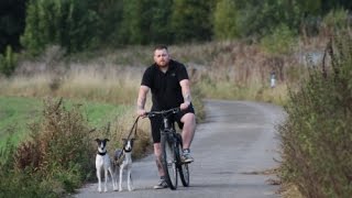 WHIPPET PRE SEASON TRAINING [upl. by Gerty]