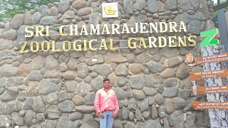 SRI CHAMARAJENDRA ZOOLOGICAL GARDENS MYSORE ಶ್ರೀ ಚಾಮರಾಜೇಂದ್ರ ಮೃಗಾಲಯ ಮೈಸೂರು [upl. by Sidonnie]