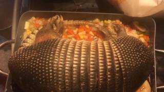 HOW TO COOK A ARMADILLO [upl. by Yendahc]