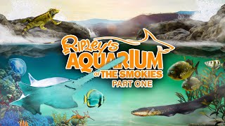 Zoo Tours The Ripleys Aquarium of the Smokies  Part One [upl. by Daveda313]