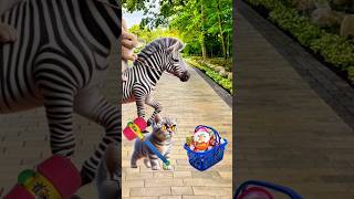 rabbit and zebras take my kinder joy cat cutecat trendingshorts [upl. by Shanta]