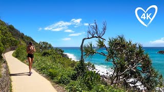 Virtual Walk Burleigh Heads National Park  4K  Gold Coast Australia  Treadmill Background [upl. by Hooker547]