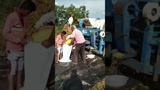 Soybean bartan chalu aahe  viral video Jay Jawan Jay Kisan [upl. by Lemaj840]