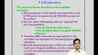 Mod13 Lec27 T cell Activation  Differentiation [upl. by Aennil]