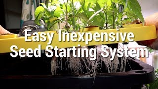 How to make a hydroponic seed starting system cheap and easy [upl. by Craggie]