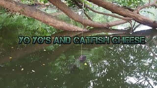 How to catch catfish with yo yos and catfish cheese [upl. by Halimaj237]