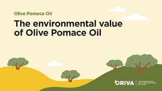 The environmental value of olive pomace oil [upl. by Aleek103]