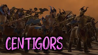 Beastmen army composition  doomstack  Centigors doomstack [upl. by Dilks172]