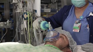 Questions about Anesthesia Watch this video [upl. by Bridget866]