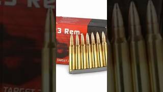 Reloading a 223 AR15 with RCBS equipment Hodgdon powder and Federal primers Short version [upl. by Furie]