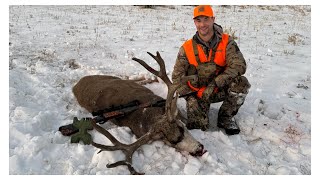 STORYTIME 4 Mule deer tags filled in 3 days and one is a true giant [upl. by Enelrae]