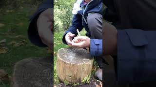 Steinschleuder basteln victorinox diy wood nature funny basteln tipps shorts survival [upl. by Corabel602]