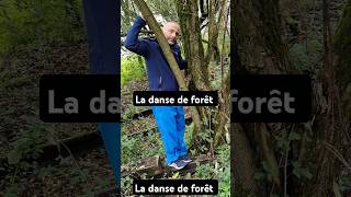 La danse de forêt humour danse forêt [upl. by Nere]