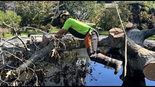 West Michigan company sends workers to help with Helene aftermath [upl. by Ariadne641]