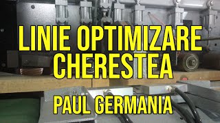 Linie optimizare cherestea  C14 MKL  Paul Maschinenfabrik Germania [upl. by Norrahc]