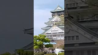 Osaka Castle Osaka Japan Tourist Spot [upl. by Petromilli77]