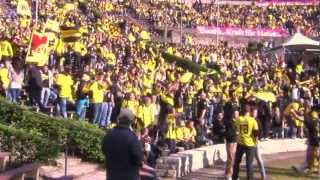 Impressionen Public Viewing Waldbühne Berlin zum DFB Pokalfinale 2012  BVB Borussia Dortmund [upl. by Alliuqal302]