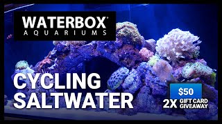 Cycling a Saltwater Aquarium  Episode 175 [upl. by Lehctim]