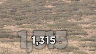 Long Range Hunting  54 KILL SHOTS  Extreme Outer Limits TV [upl. by Eki]