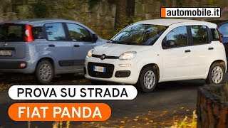 Fiat Panda è sempre lei la regina delle strade italiane [upl. by Ameehsat]