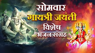 सोमवार गायत्री जयंती विशेष Shiv Chalisa Gayatri Chalisa Aarti Shiv dhun Gayatri Mantra🙏🙏🪔🪔🔱🔱🌹🌹 [upl. by Leibarg]