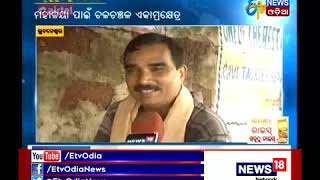 quotMahalaya Amavasyaquot celebrated with religious fervour in Odisha  Etv News Odia [upl. by Yelak]