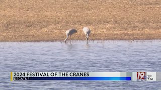 North Alabamians Celebrate Annual Return of Thousands of Cranes  Jan 13 2023  News 19 at 7 am [upl. by Honebein]