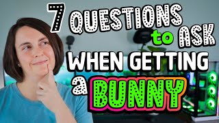 Top 7 Questions to Ask when Getting a Bunny 🐰 [upl. by Harrow482]