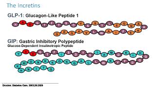 Anti diabetic drugs [upl. by Atinahc30]