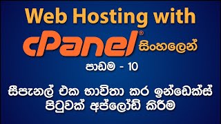 Upload the Index HTML Page Using the Cpanel File Manager  පාඩම  10 [upl. by Akenor]