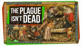 Could the Plague Rise Again [upl. by Uy]