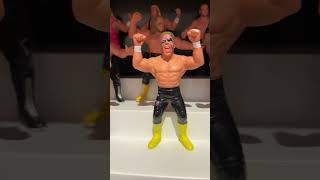 WCW Galoob figures shorts wrestlingfigures wcw wwe sting ricflair lexluger canadianbulldog [upl. by Mccarthy329]