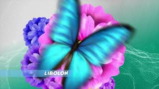 About LIBOLON seven minutes [upl. by Gothard]