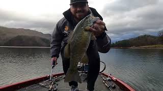 Watauga lake bass fishing [upl. by Iruyas]