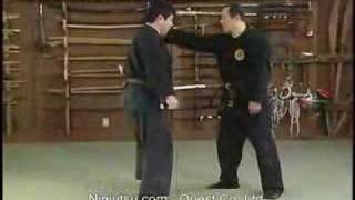 Hatsumi Bujinkan Takagi Yoshin ryu [upl. by Ymarej]