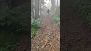 trekking miranjani in nathiagali pakistan [upl. by Nylesoy444]