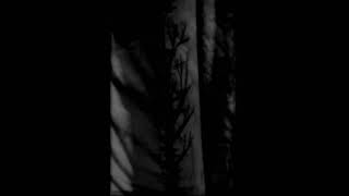 Left Alone  With Black Branches Scars And Wounds The Painful Memories Full Demo 2016 [upl. by Jessie281]