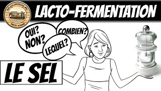 Le Sel Les Probiotiques et les Bactéries Pathogènes dans la LactoFermentation 9 choses à savoir [upl. by Tnecnev]