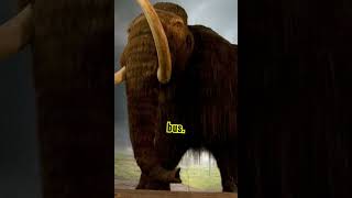 Mammoth Facts Uncovering Historys Giants shorts mammoth creaturesfacts [upl. by Clari]