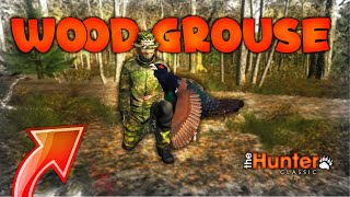 LOV NA TETREBA U SUMI HIRSCHFELDENA  theHunter Classic WOOD GROUSE HUNT [upl. by Ycart528]