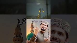 Dar e Rasool  Status Video  Umair Zubair Qadri  Naat Short [upl. by Grigson]