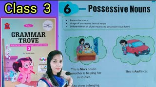 POSSESSIVE NOUNS Chapter 6  English Grammar  Grammar Trove [upl. by Acitel]