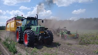 Aardappelen rooien 2024 AVR Puma 3  Fendt Favorit 818 Turboshift amp Steyr 6140 profi  2x Mullie [upl. by Jazmin]