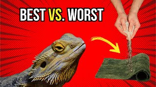 Bearded Dragon Substrate  Good vs Bad [upl. by Niuq]