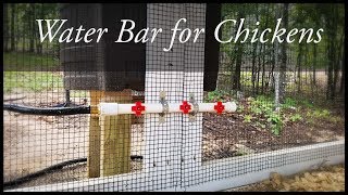 Hassle Free Chickens  DIY Water Bar [upl. by Ahsyla853]