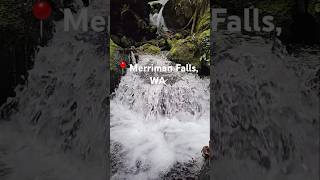 Merriman Falls  Olympic National Forest WA PNW [upl. by Llenoil]